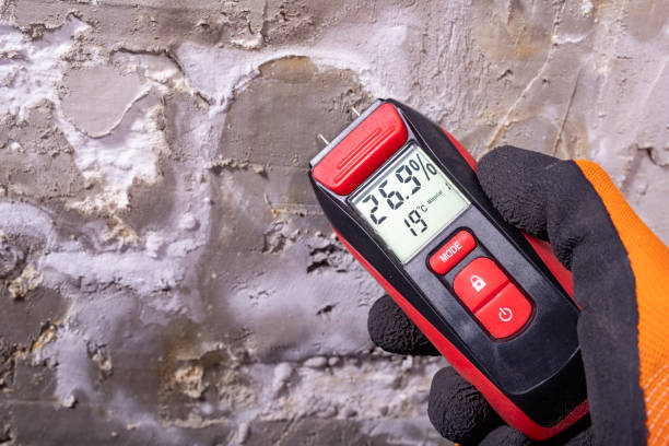 Best Mold Inspection  in Staffd, OR