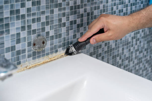 Best Local Mold Removal Service  in Staffd, OR