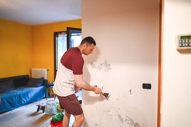 Best Commercial Mold Removal  in Staffd, OR