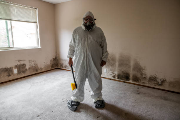 Best Attic Mold Removal  in Staffd, OR