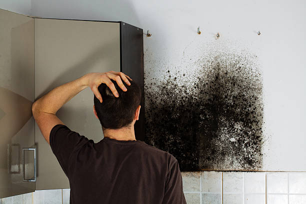 Best Office Mold Removal Services  in Staffd, OR